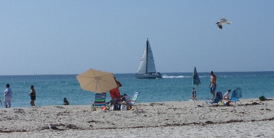 venice florida beach